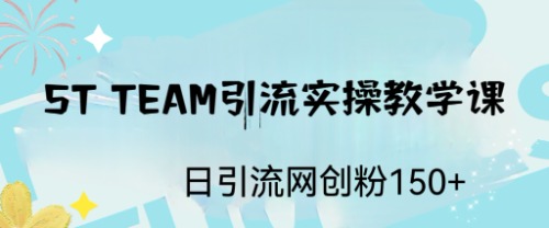 ST TEAM引流实操课，日引流网创粉100+-91网创