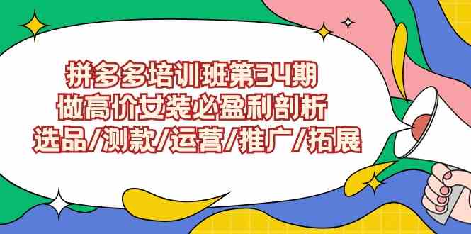 （9333期）拼多多培训班第34期：做高价女装必盈利剖析  选品/测款/运营/推广/拓展-91网创