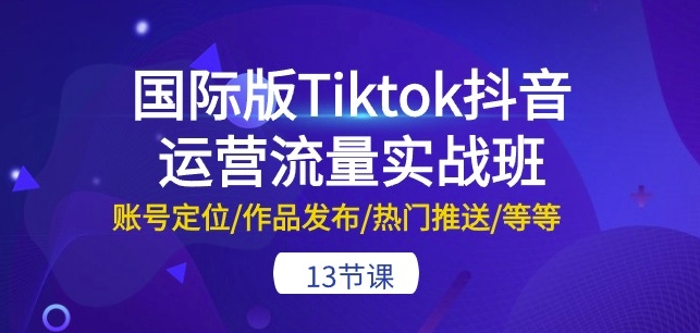 国际版Tiktok抖音运营流量实战班：账号定位/作品发布/热门推送/等等-13节-91网创
