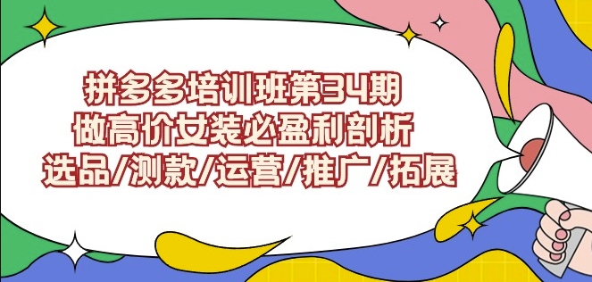 拼多多培训班第34期：做高价女装必盈利剖析选品/测款/运营/推广/拓展-91网创