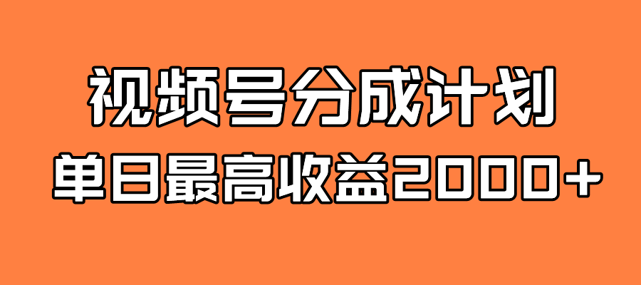 全新蓝海 视频号掘金计划 日入2000+-91网创