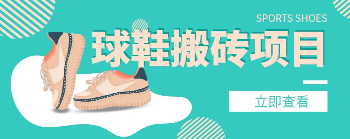 【搬砖必备】外面收费998的球鞋搬砖项目，月入轻松5000+的项目案例解析-91网创