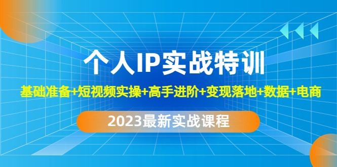 2023个人IP实战特训：基础准备+短视频实操+高手进阶+变现落地+数据+电商-91网创