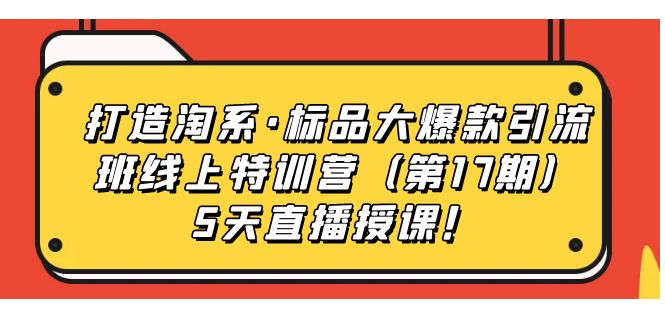 打造淘系·标品大爆款引流班线上特训营（第17期）5天直播授课！-91网创