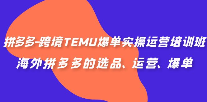 拼多多-跨境TEMU爆单实操运营培训班，海外拼多多的选品、运营、爆单-91网创