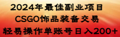 2024年最佳副业项目 CSGO饰品装备交易 轻易操作单账号日入200+-91网创