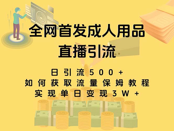 最新全网独创首发，成人用品直播引流获客暴力玩法，单日变现3w保姆级教程-91网创