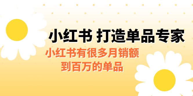 某公众号付费文章《小红书 打造单品专家》小红书有很多月销额到百万的单品-91网创