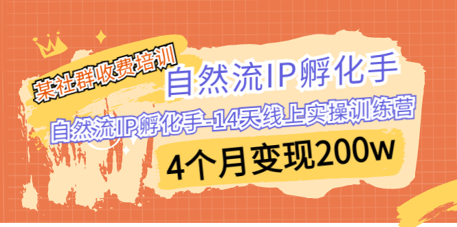 某社群收费培训：自然流IP 孵化手-14天线上实操训练营 4个月变现200w-91网创