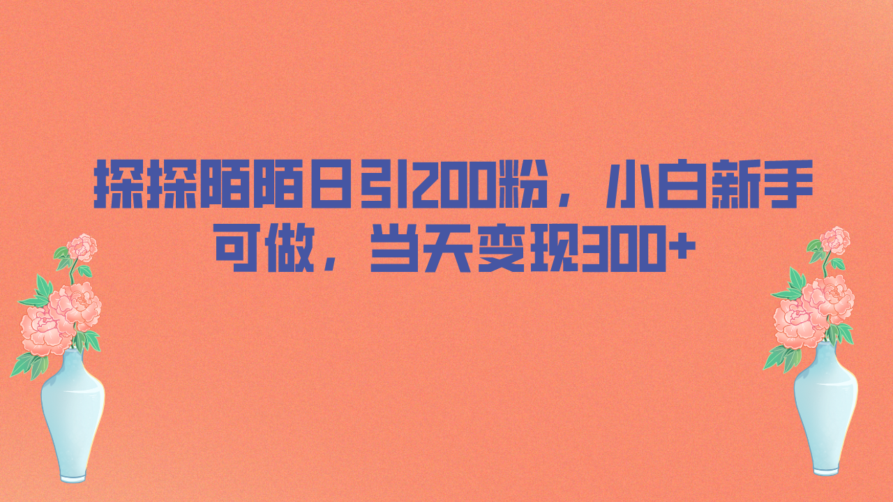 探探陌陌日引200粉，小白新手可做，当天就能变现300+-91网创