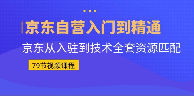 京东自营入门到精通：京东从入驻到技术全套资源匹配（79节课）-91网创