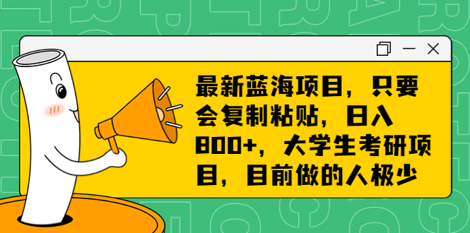 最新蓝海项目，只要会复制粘贴，日入800+，大学生考研项目，目前做的人极少-91网创