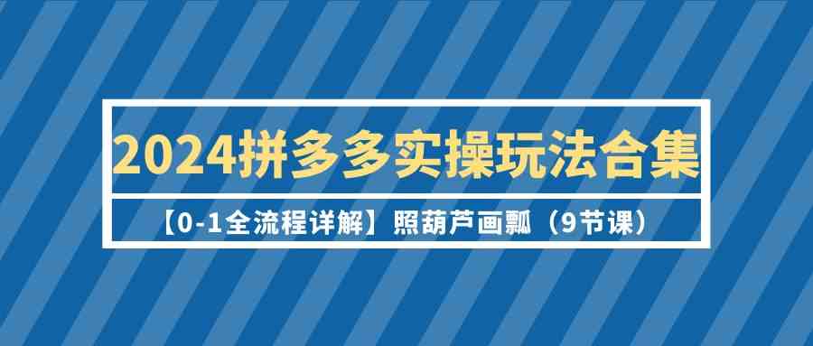 （9559期）2024拼多多实操玩法合集【0-1全流程详解】照葫芦画瓢（9节课）-91网创