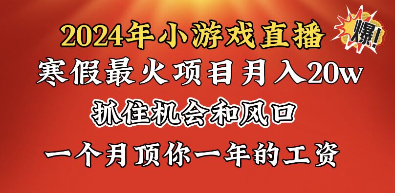 2024年寒假爆火项目，小游戏直播月入20w+，学会了之后你将翻身-91网创