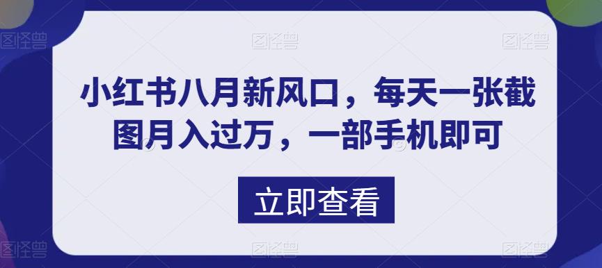 八月新风口，小红书虚拟项目一天收入1000+，实战揭秘-91网创