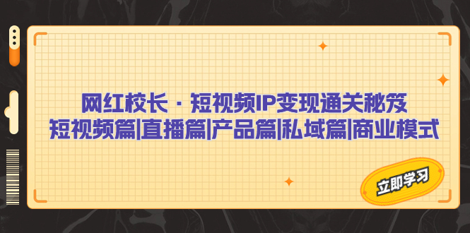 网红校长·短视频IP变现通关秘笈：短视频篇+直播篇+产品篇+私域篇+商业模式-91网创