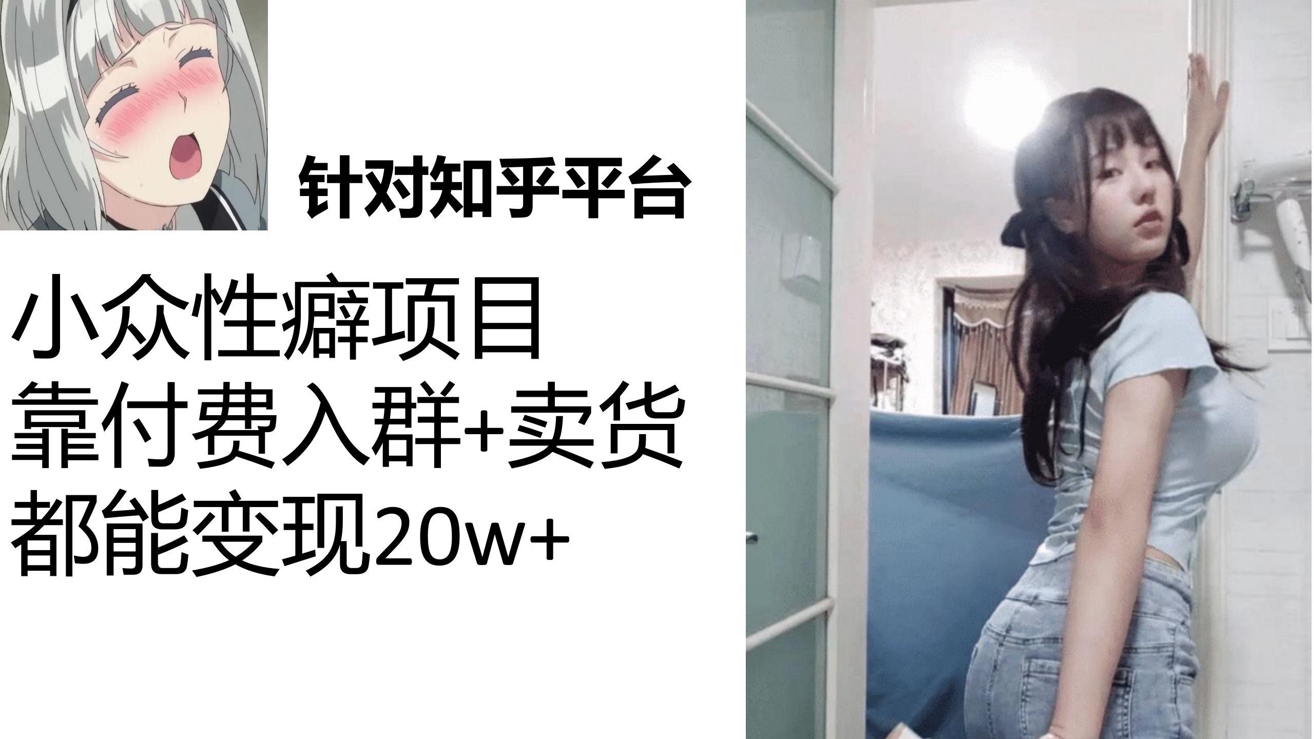 知乎小众性癖项目，Lsp的钱才是最好赚的，付费建群+卖货变现20w-91网创
