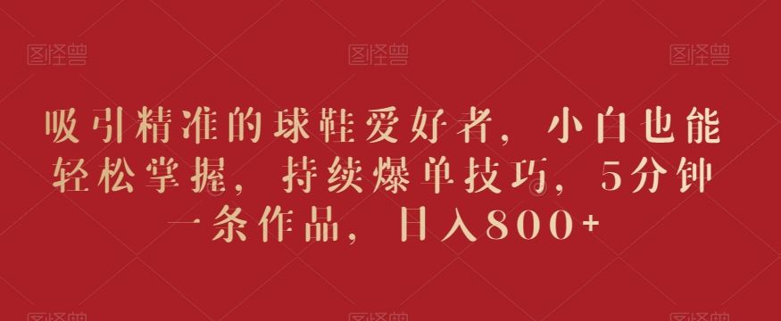 吸引精准的球鞋爱好者，小白也能轻松掌握，持续爆单技巧，5分钟一条作品，日入800+【揭秘】-91网创