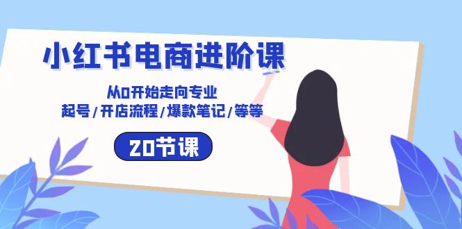小红书电商进阶课：从0开始走向专业 起号/开店流程/爆款笔记/等等（20节）-91网创