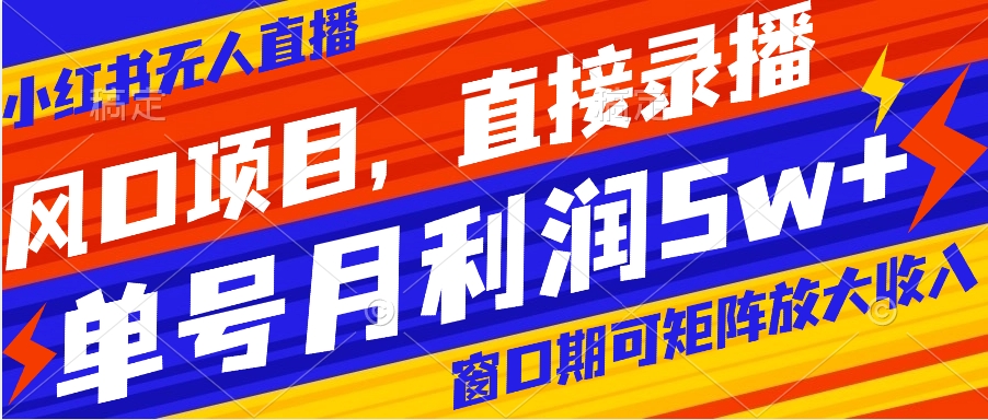 风口项目，小红书无人直播带货，直接录播，可矩阵，月入5w+-91网创