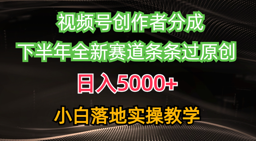 （10294期）视频号创作者分成最新玩法，日入5000+  下半年全新赛道条条过原创，小…-91网创