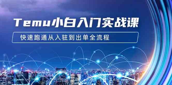 （9295期）Temu小白入门实战课：跨境拼多多电商培训 快速跑通从入驻到出单全流程-12节-91网创