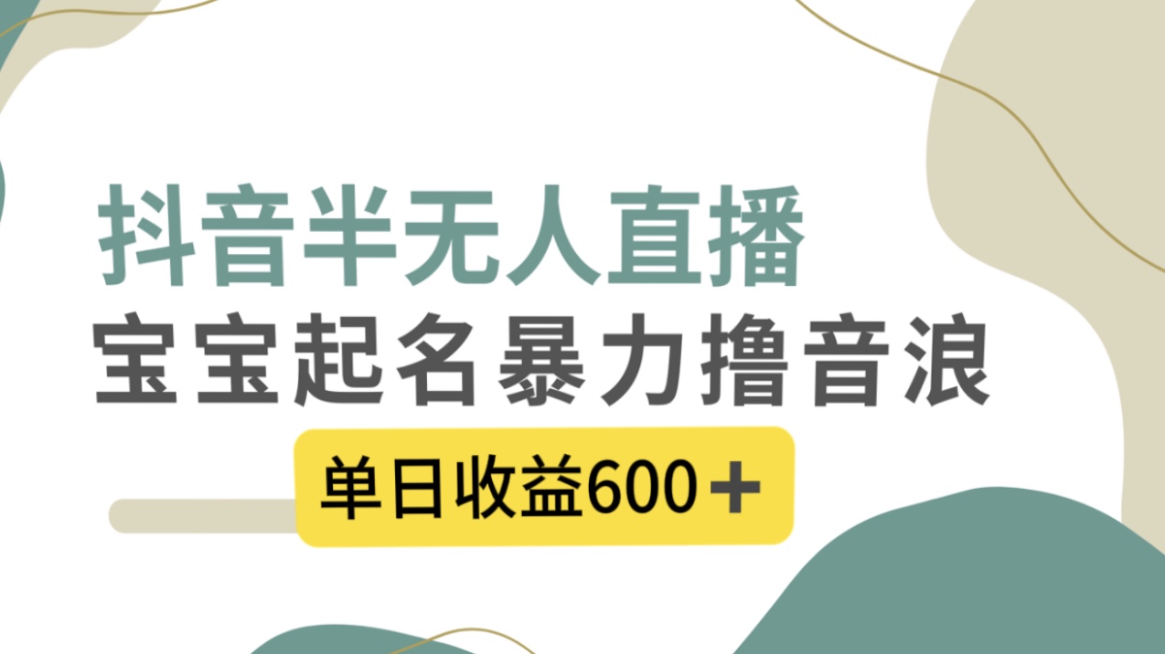 抖音半无人直播，宝宝起名，暴力撸音浪，单日收益600+-91网创