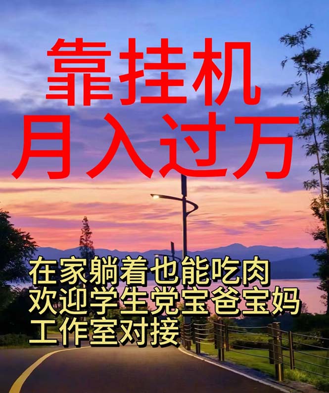 （10838期）靠挂机，日入1000+，躺着也能吃肉，适合宝爸宝妈学生党工作室，电脑手…-91网创