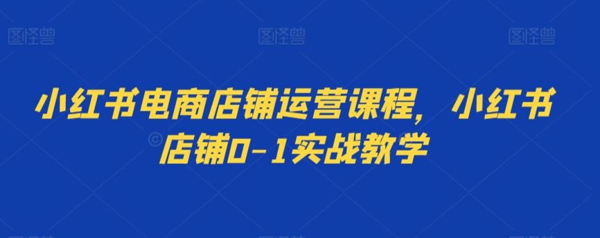 小红书电商店铺运营课程，小红书店铺0-1实战教学-91网创