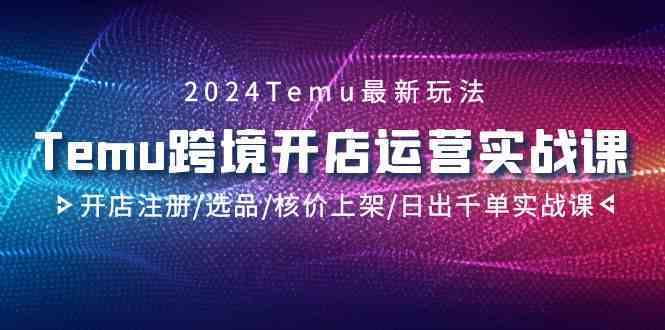 2024Temu跨境开店运营实战课，开店注册/选品/核价上架/日出千单实战课-91网创