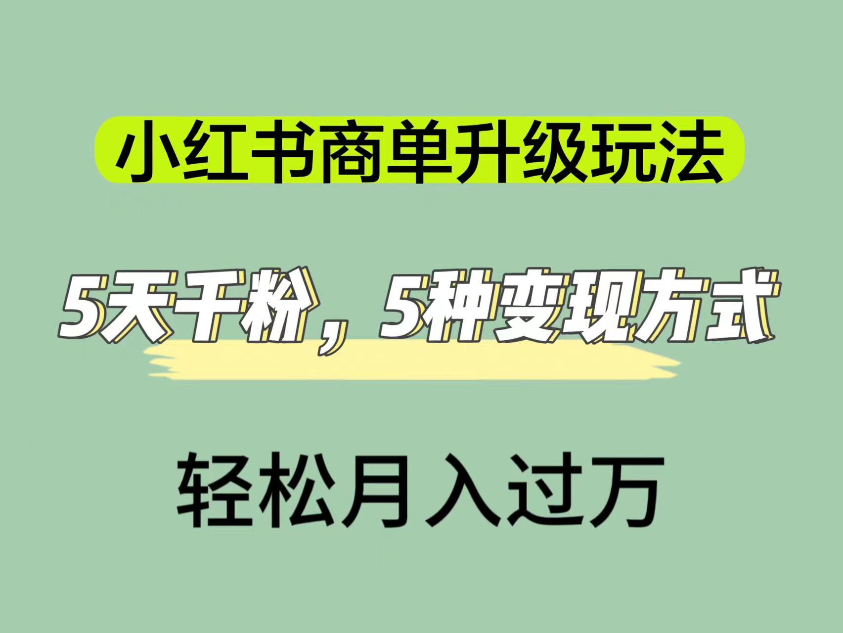 小红书商单升级玩法，5天千粉，5种变现渠道，轻松月入1万+-91网创