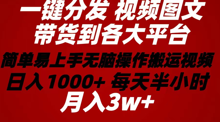 （10667期）2024年 一键分发带货图文视频  简单易上手 无脑赚收益 每天半小时日入1…-91网创
