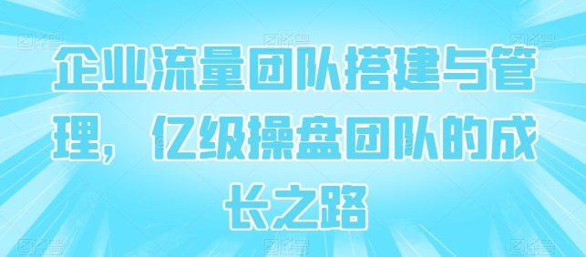 企业流量团队搭建与管理，亿级操盘团队的成长之路-91网创