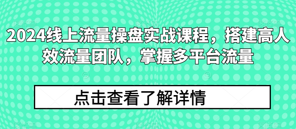 2024线上流量操盘实战课程，搭建高人效流量团队，掌握多平台流量-91网创