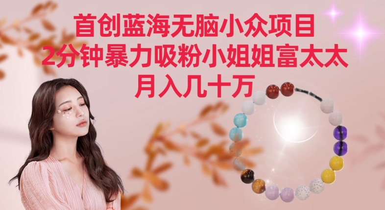 首创蓝海无脑小众项目，2分钟暴力吸粉小姐姐富太太，月入几十万-91网创