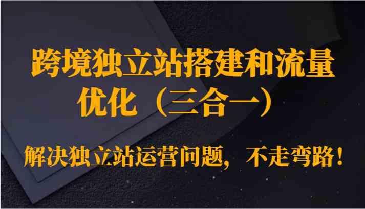 跨境独立站搭建和流量优化（三合一）解决独立站运营问题，不走弯路！-91网创