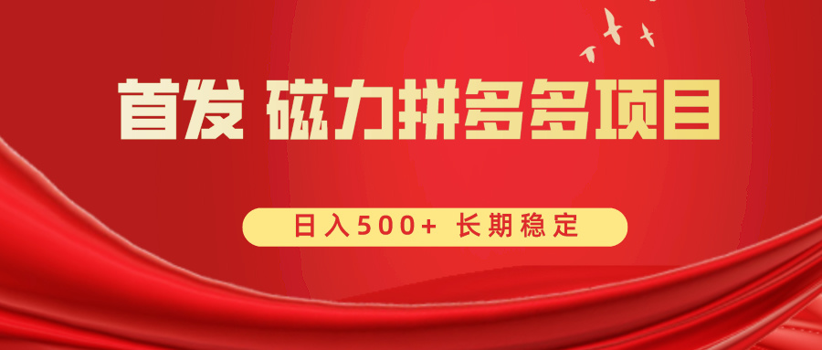 首发 磁力拼多多自撸 日入500+-91网创