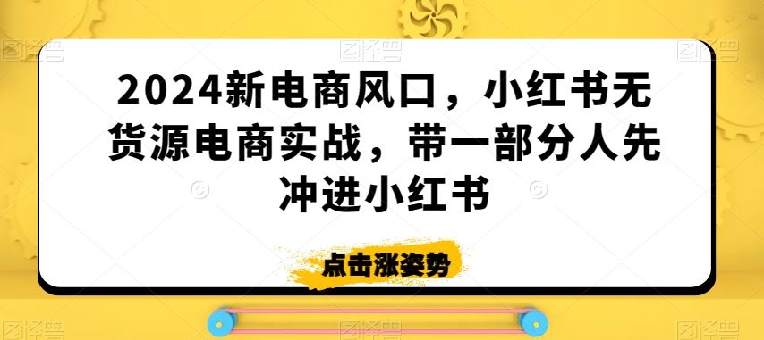 2024新电商风口，小红书无货源电商实战，带一部分人先冲进小红书-91网创