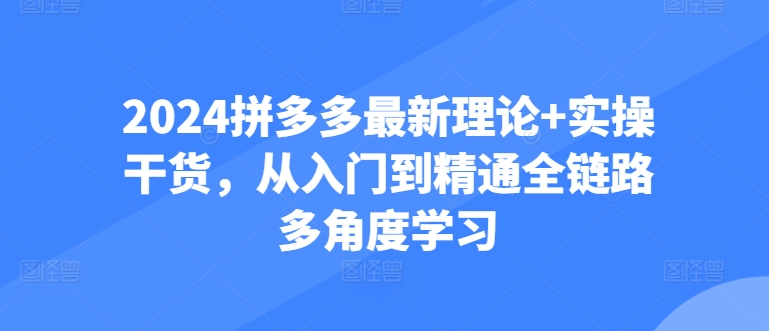 2024拼多多最新理论+实操干货，从入门到精通全链路多角度学习-91网创