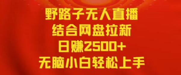 野路子无人直播结合网盘拉新，日赚2500+，小白无脑轻松上手-91网创