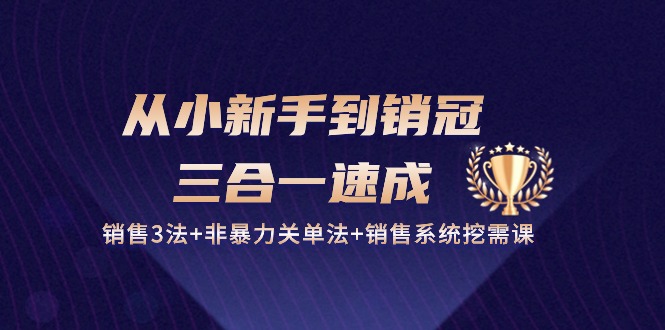 （10799期）从小新手到销冠 三合一速成：销售3法+非暴力关单法+销售系统挖需课 (27节)-91网创
