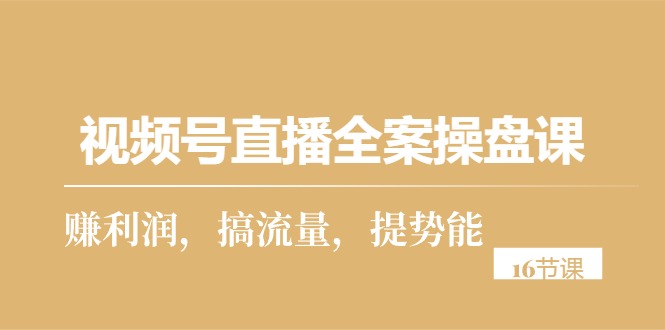 （10207期）视频号直播全案操盘课，赚利润，搞流量，提势能（16节课）-91网创