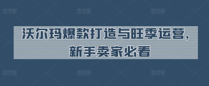 沃尔玛爆款打造与旺季运营，新手卖家必看-91网创