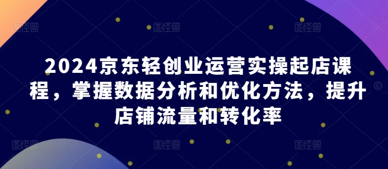 2024京东轻创业运营实操起店课程，掌握数据分析和优化方法，提升店铺流量和转化率-91网创