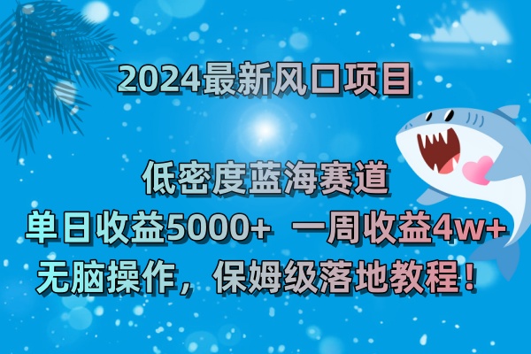 2024最新风口项目 低密度蓝海赛道，日收益5000+周收益4w+ 无脑操作-91网创