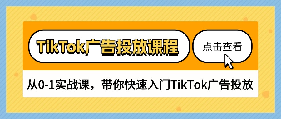 （10731期）TikTok广告投放课程，从0-1实战课，带你快速入门TikTok广告投放（30节课）-91网创